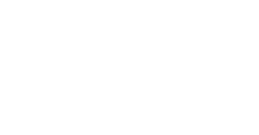 Diamond Cruis logo